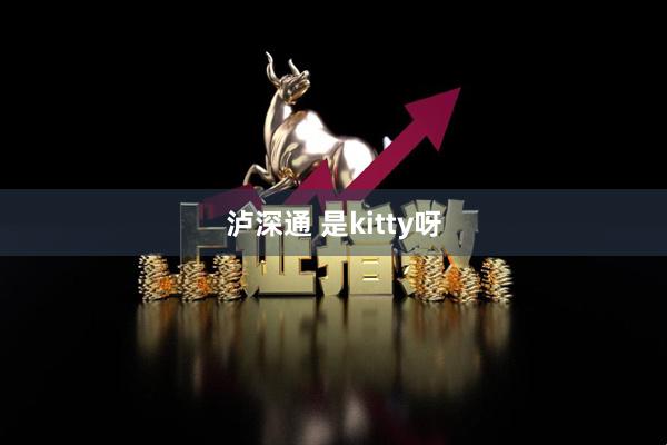 泸深通 是kitty呀