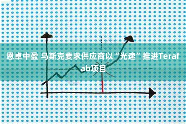 恩卓中盈 马斯克要求供应商以“光速”推进Terafab项目